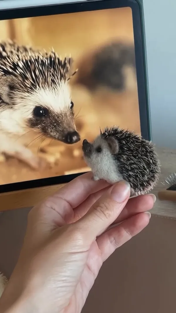 Hedgehog and its model
